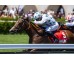  Carrera: P.Teresa Monta: V.Janacek Caballo: Making Time